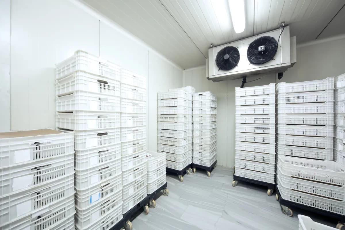 Stacked crates on wheeled dollies inside a cold store, refrigeration unit mounted on the wall.